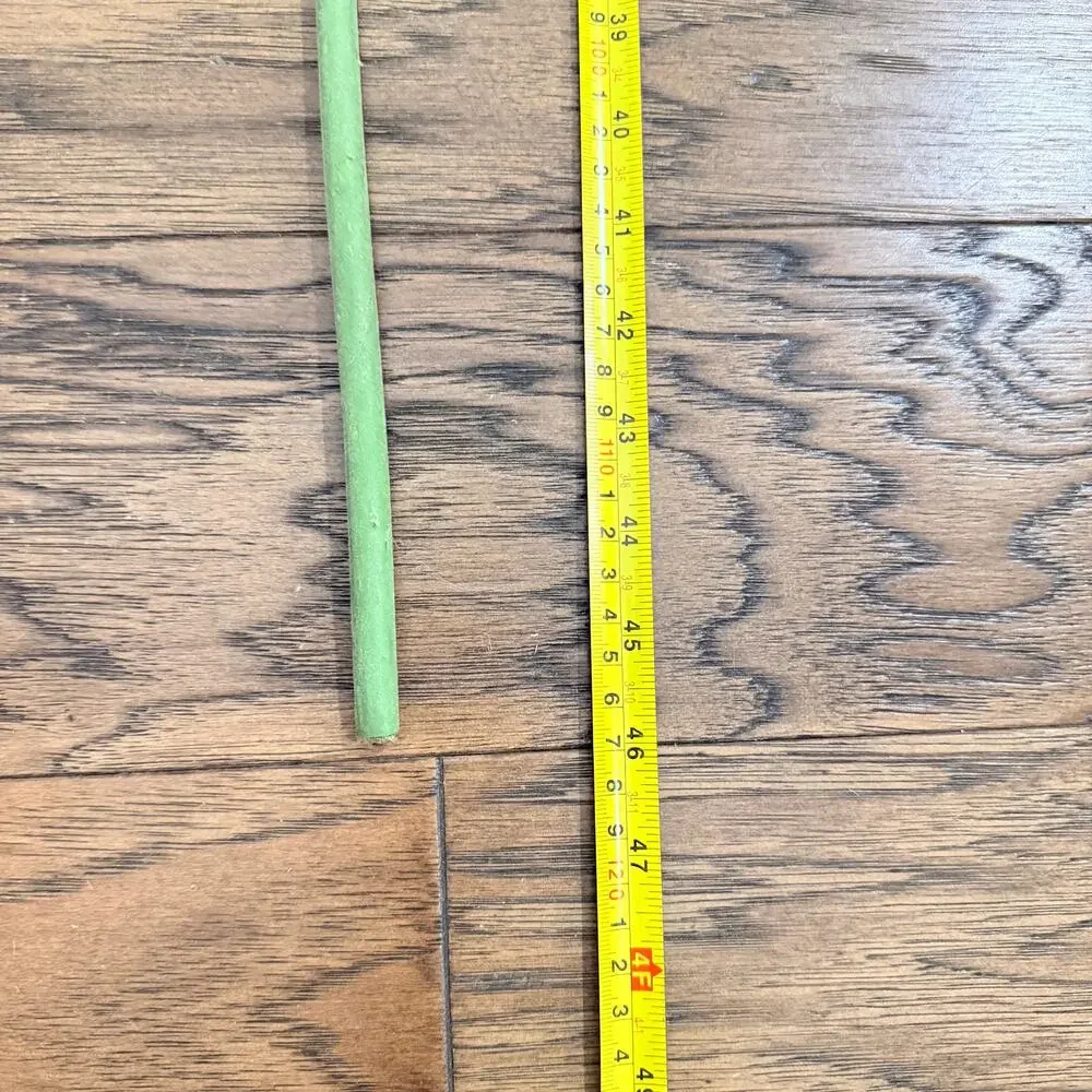 RARE NWT PIER 1 Imports 46